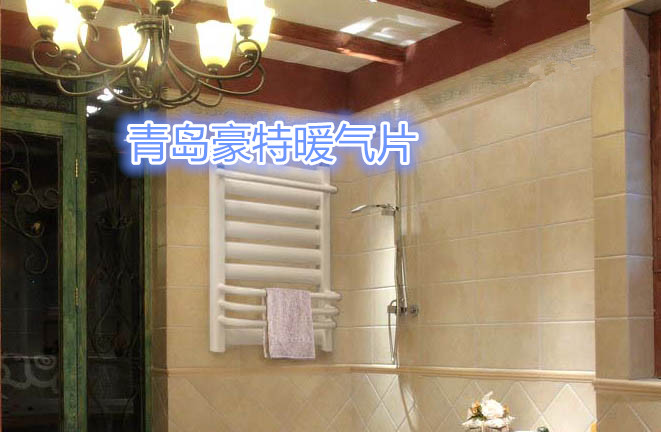 衛(wèi)生間暖氣片